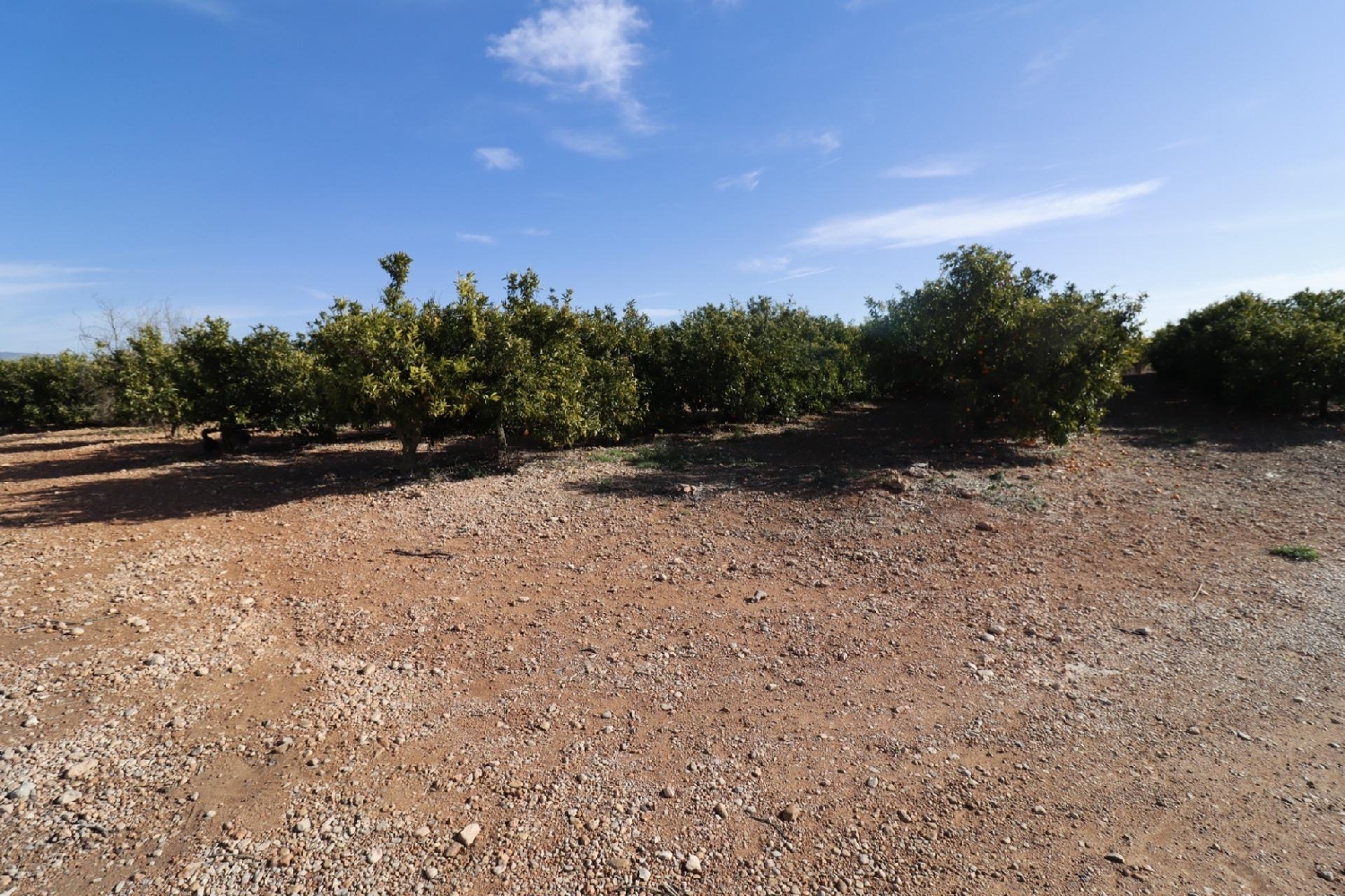  till salu hus Vinaros Baix Maestrat 2
