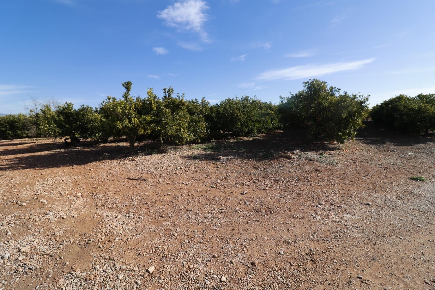  till salu hus Vinaros Baix Maestrat 3