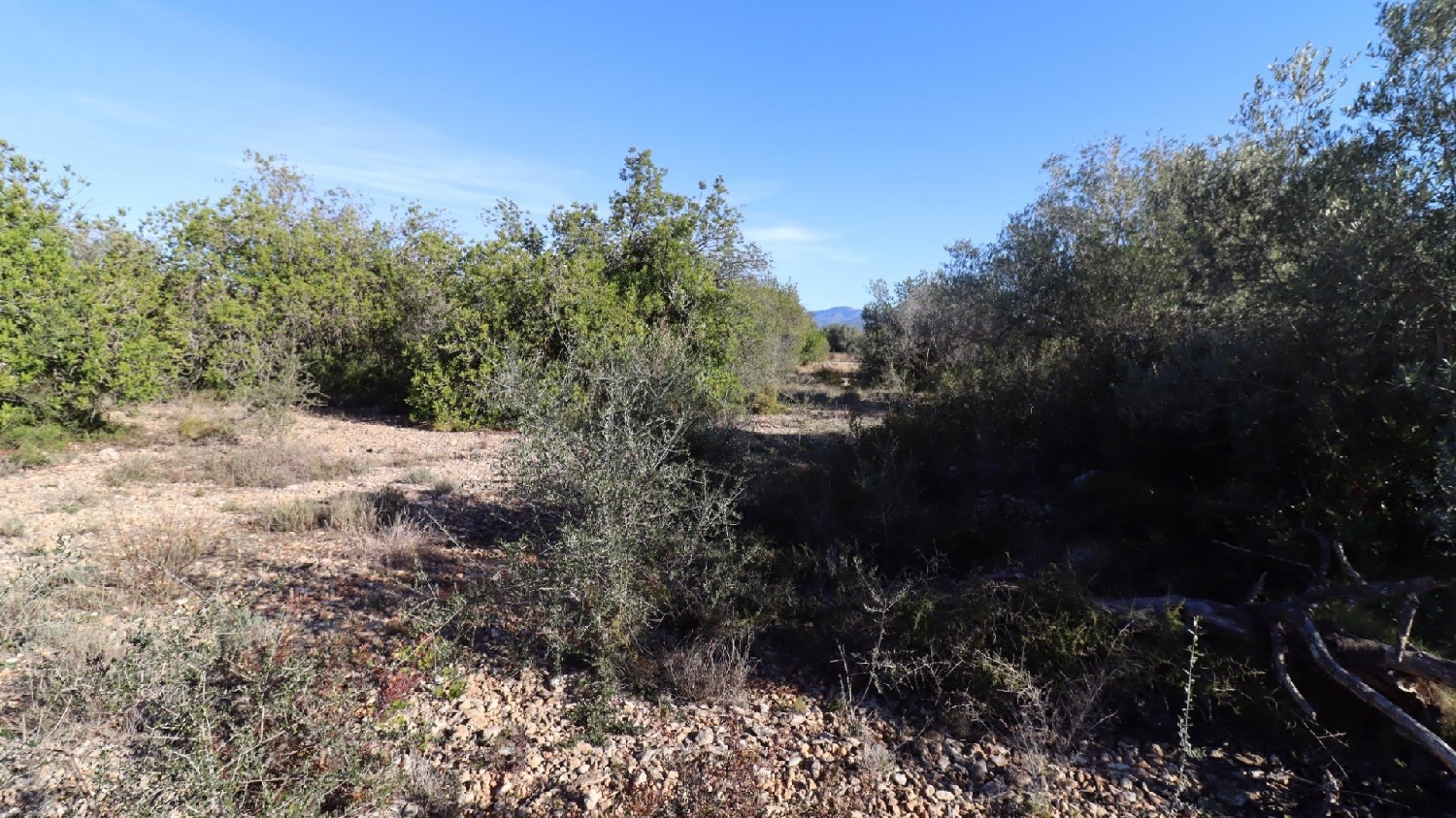  till salu hus Vinaros Baix Maestrat 8