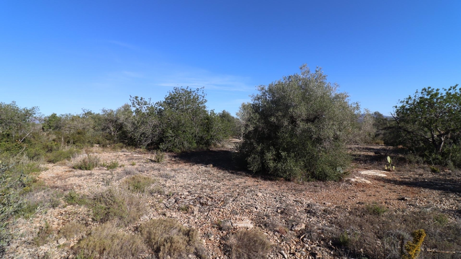  till salu hus Vinaros Baix Maestrat 3