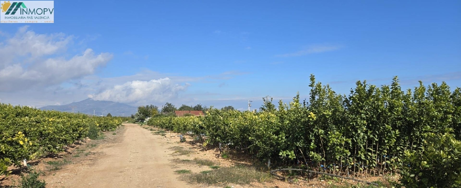  for sale house Vinaros Baix Maestrat 4