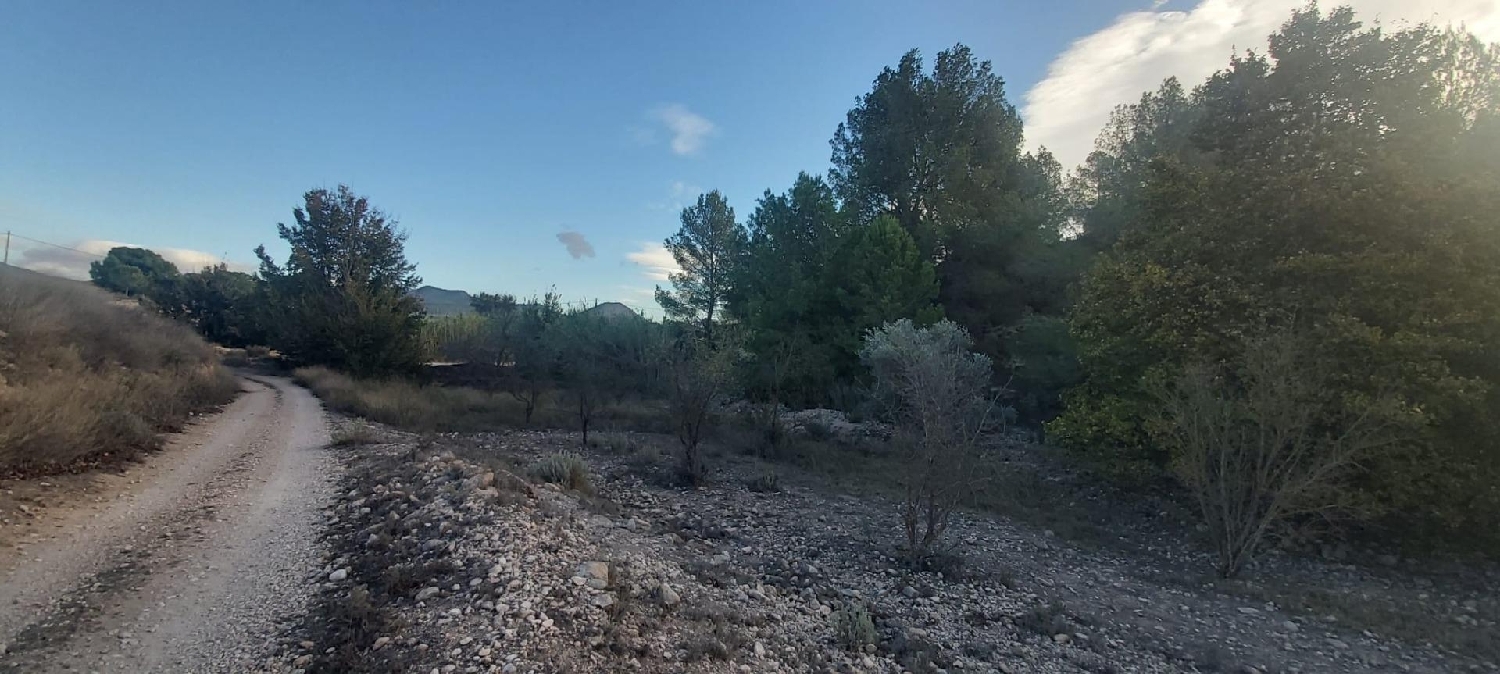  till salu hus Xinorlet Vinalopó Mitjà 5