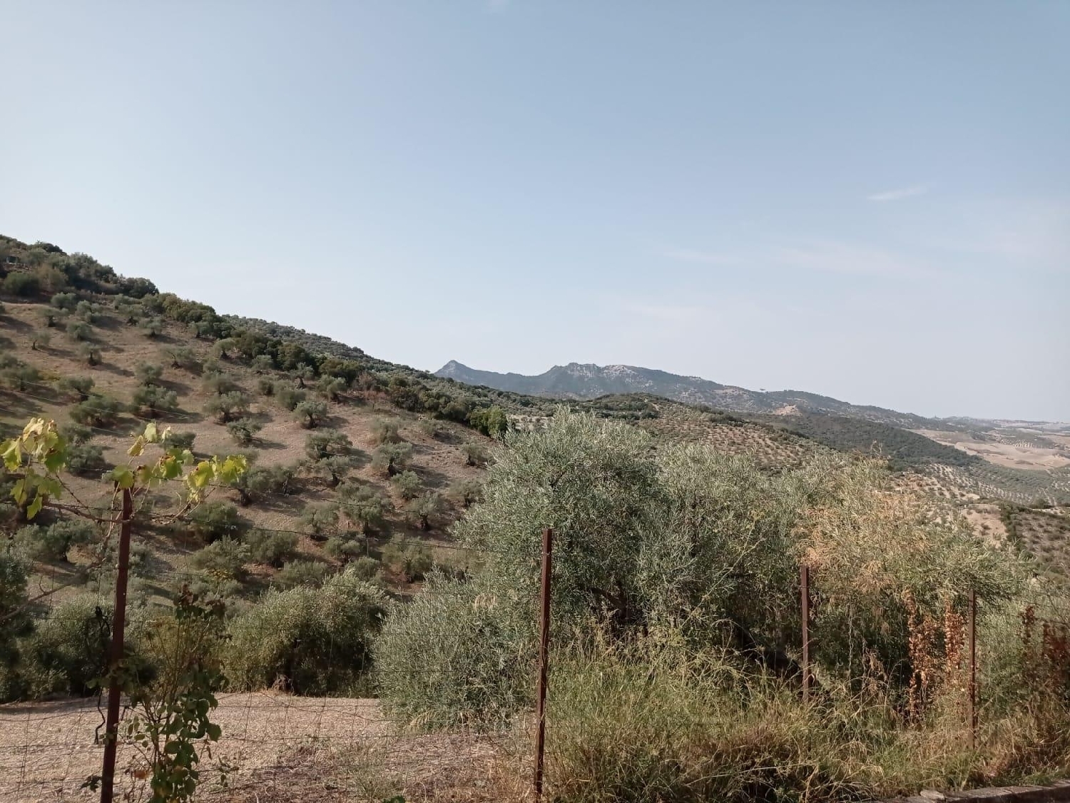  till salu hus Zahara De La Sierra Sierra De Cádiz 7