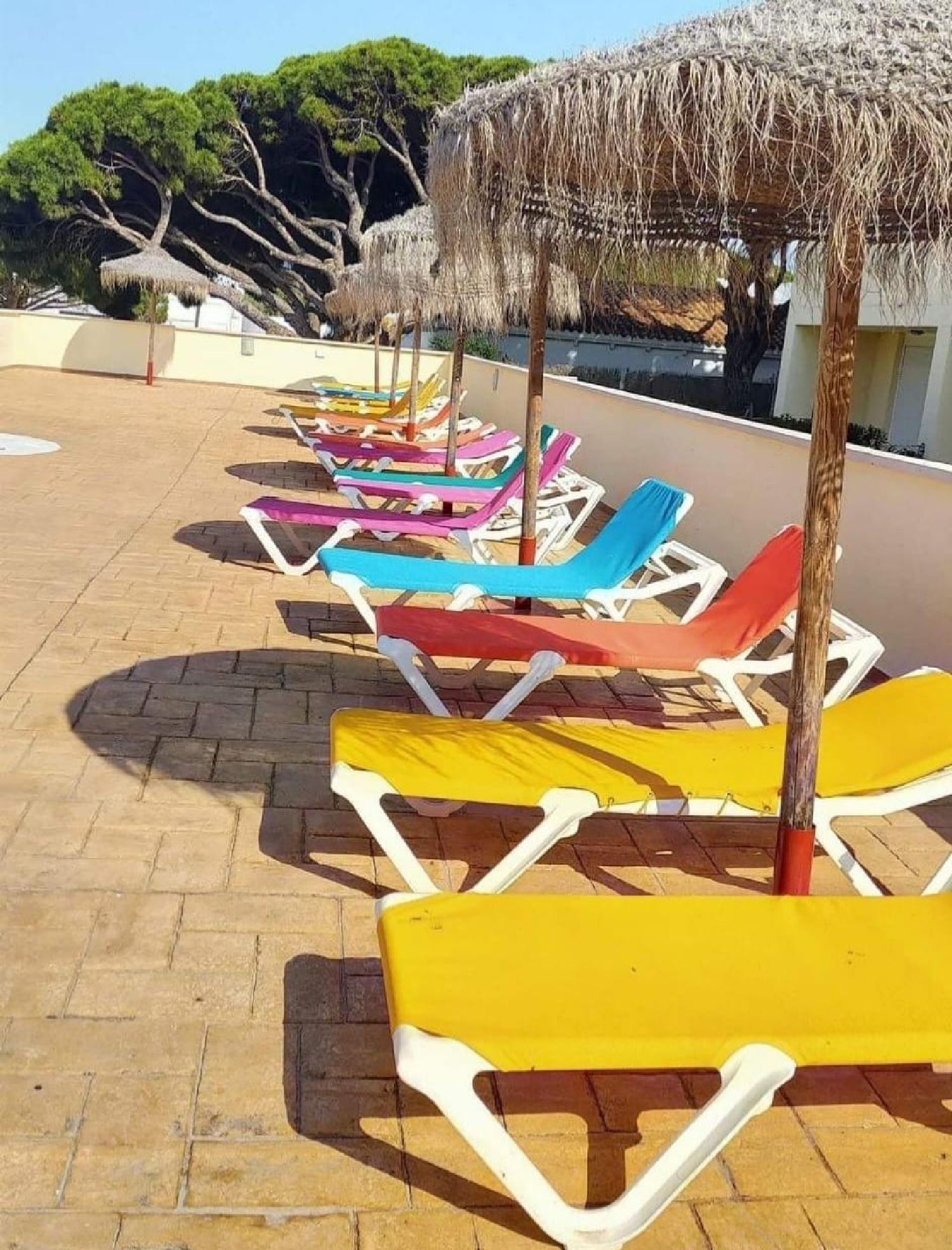  till salu hus El Palmar Janda (La) 4