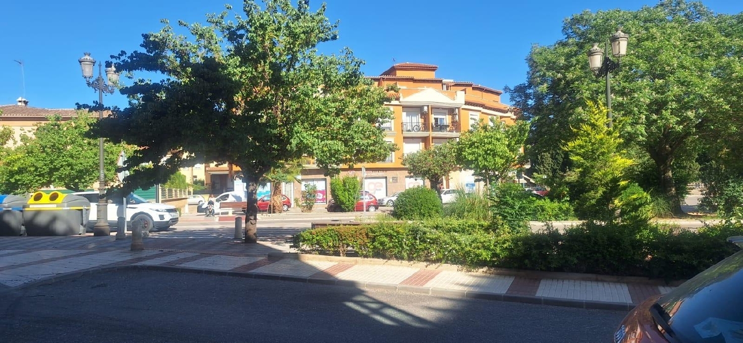 till salu lokal Casanueva Vega De Granada 3