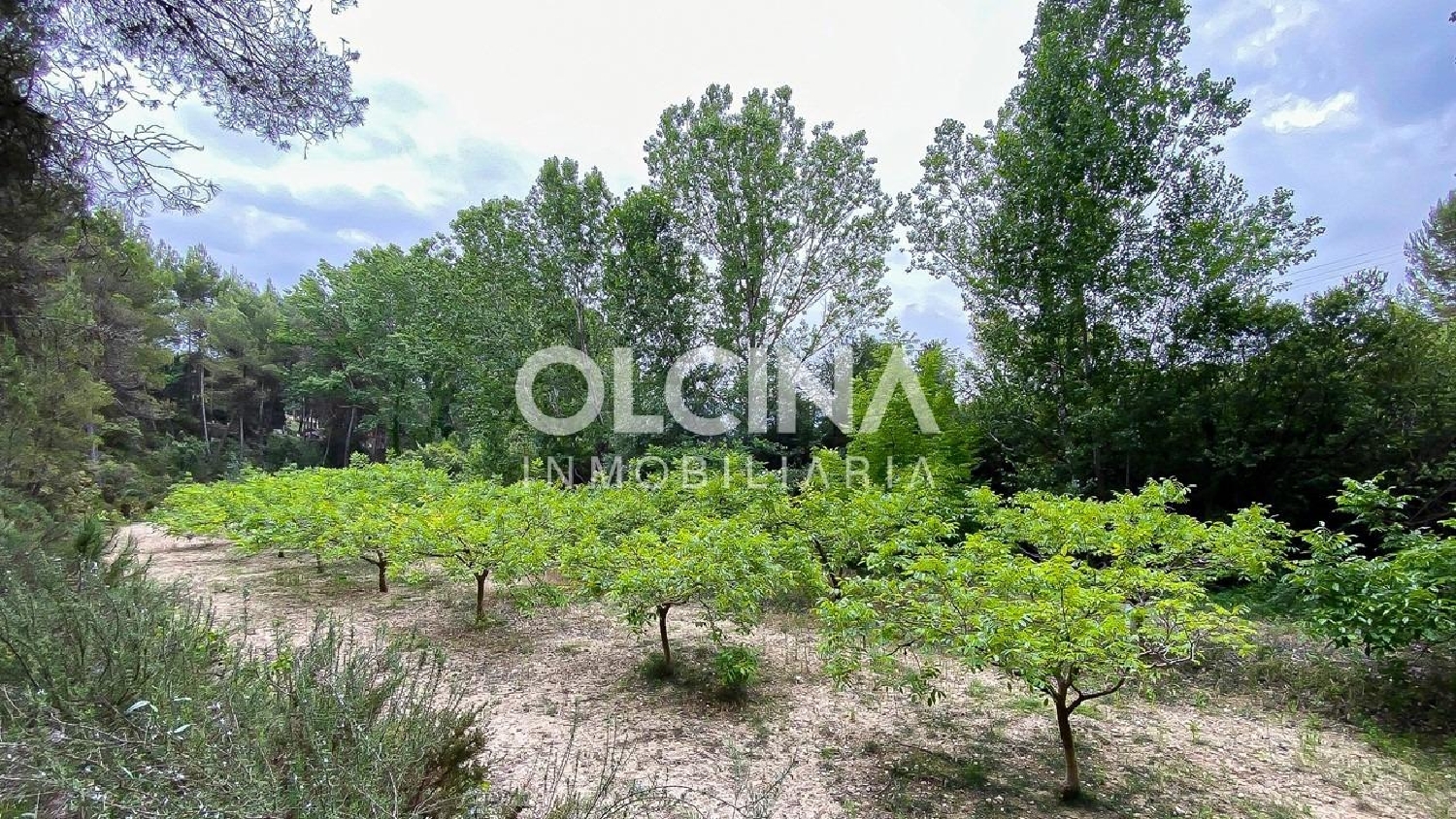  till salu herrgard Alcoi 03801 Alcoia 8
