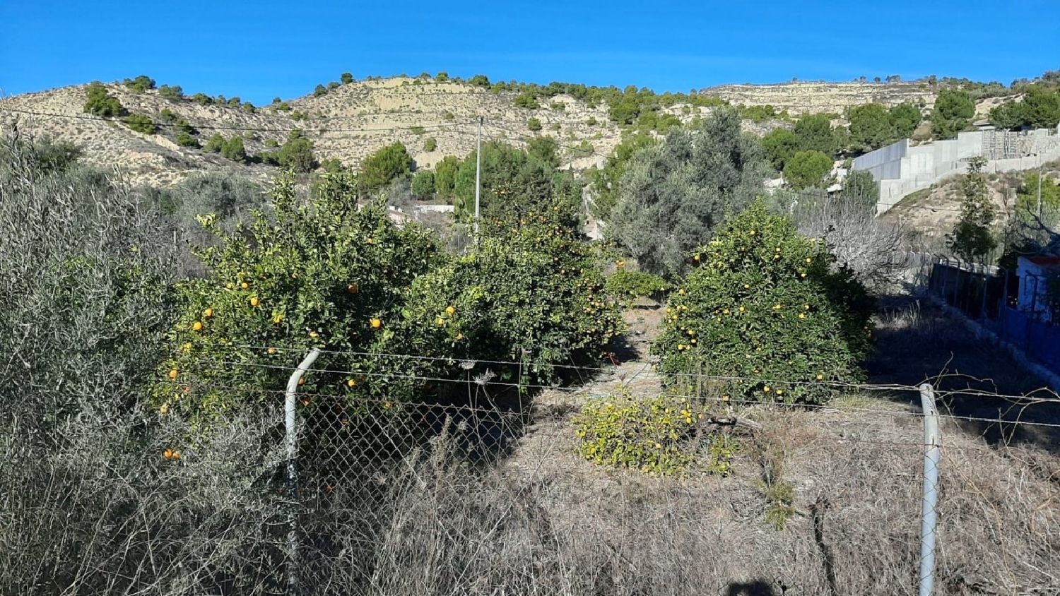  till salu herrgard Cabezo De La Plata Huerta De Murcia 8