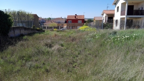 Piedramillera Tierra Estella tomt foto 6257104