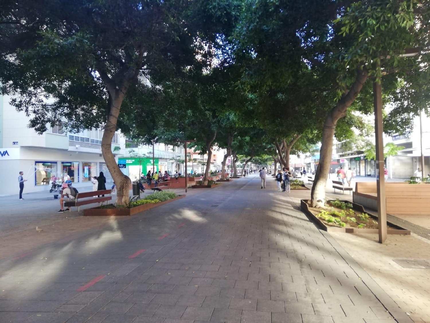 till salu kontor Alcaravaneras Palmas De Gran Canaria (Las) 7