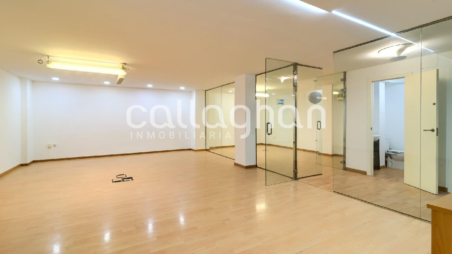  till salu kontor Extramurs Botanic Valencia 1