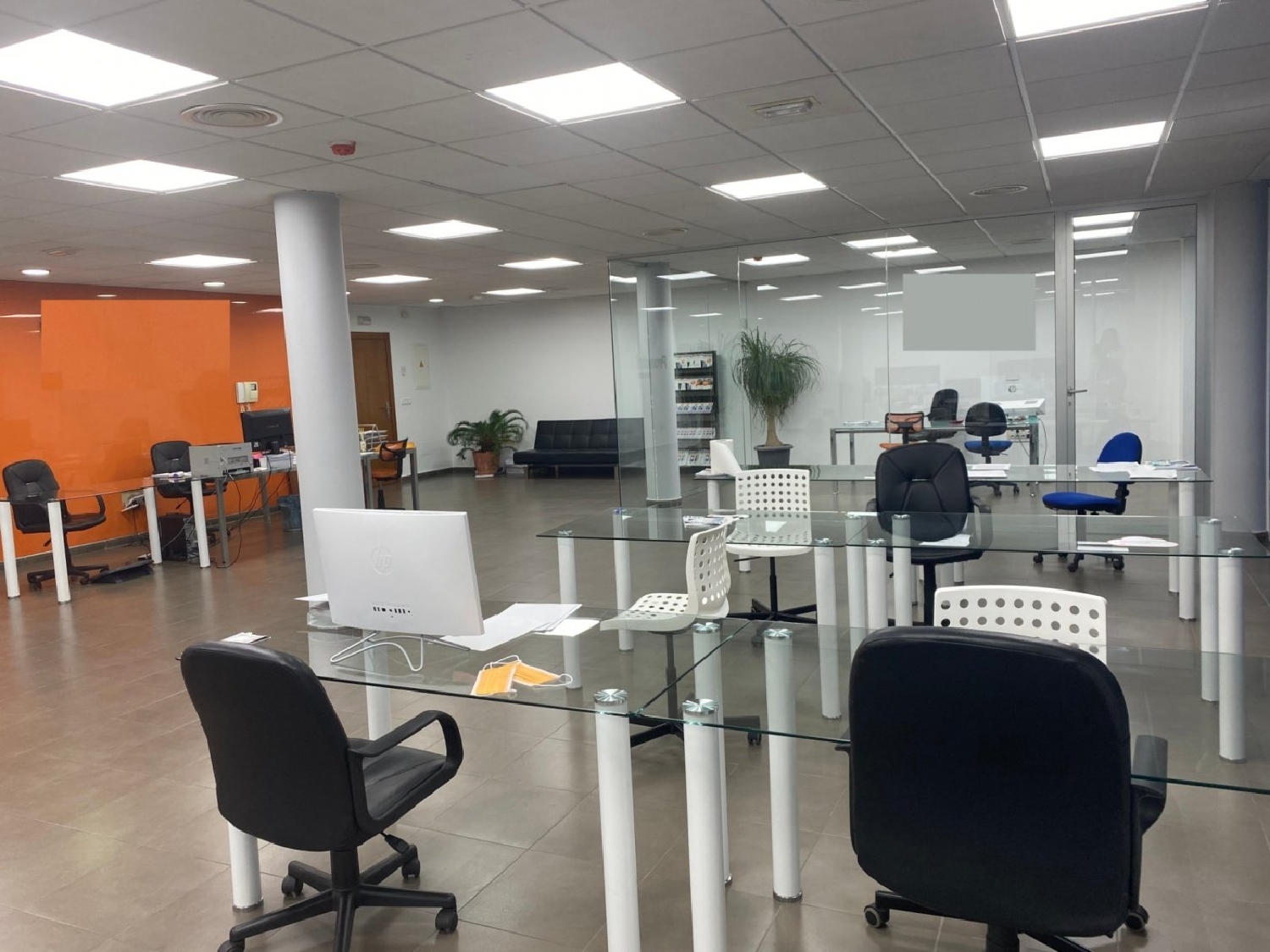 till salu kontor Finca Señorita Vega Media Del Segura 3