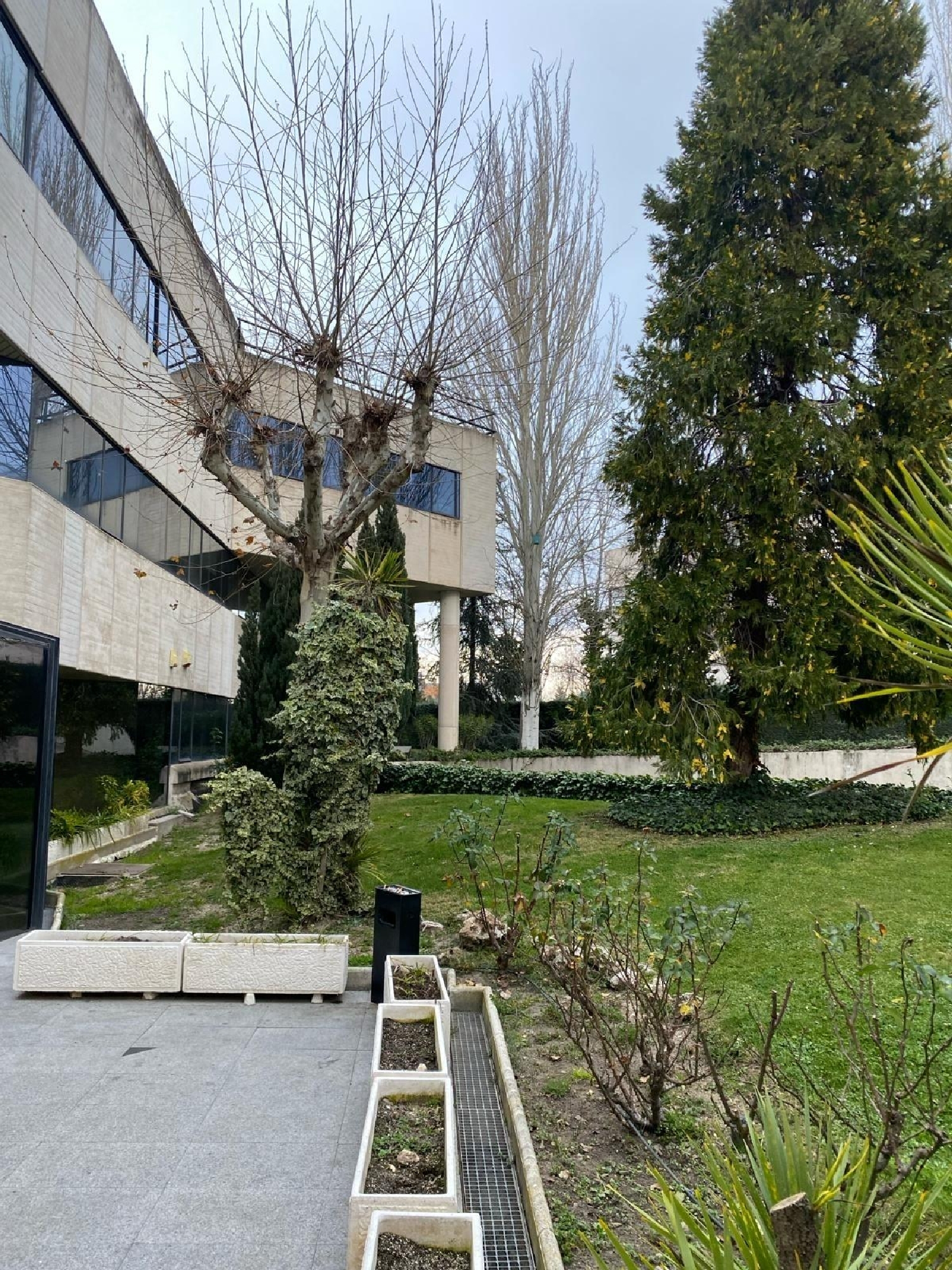  till salu kontor La Chopera Cuenca Del Guadarrama 7