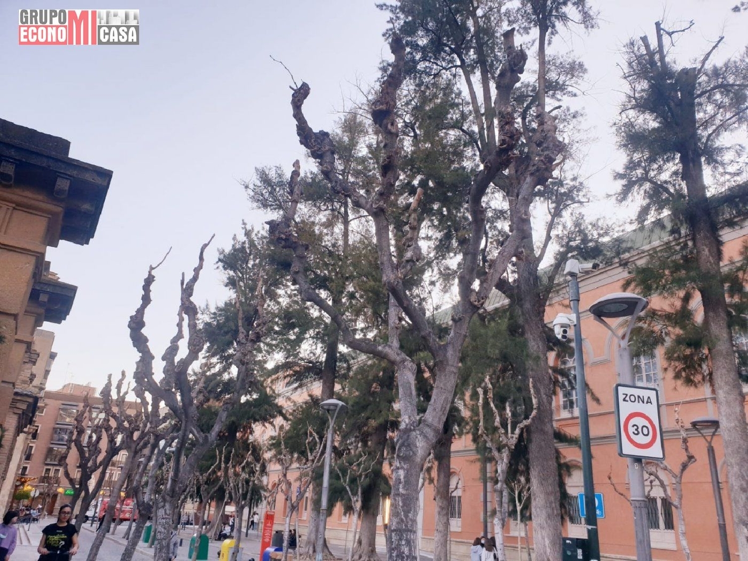  till salu kontor La Flota Huerta De Murcia 4