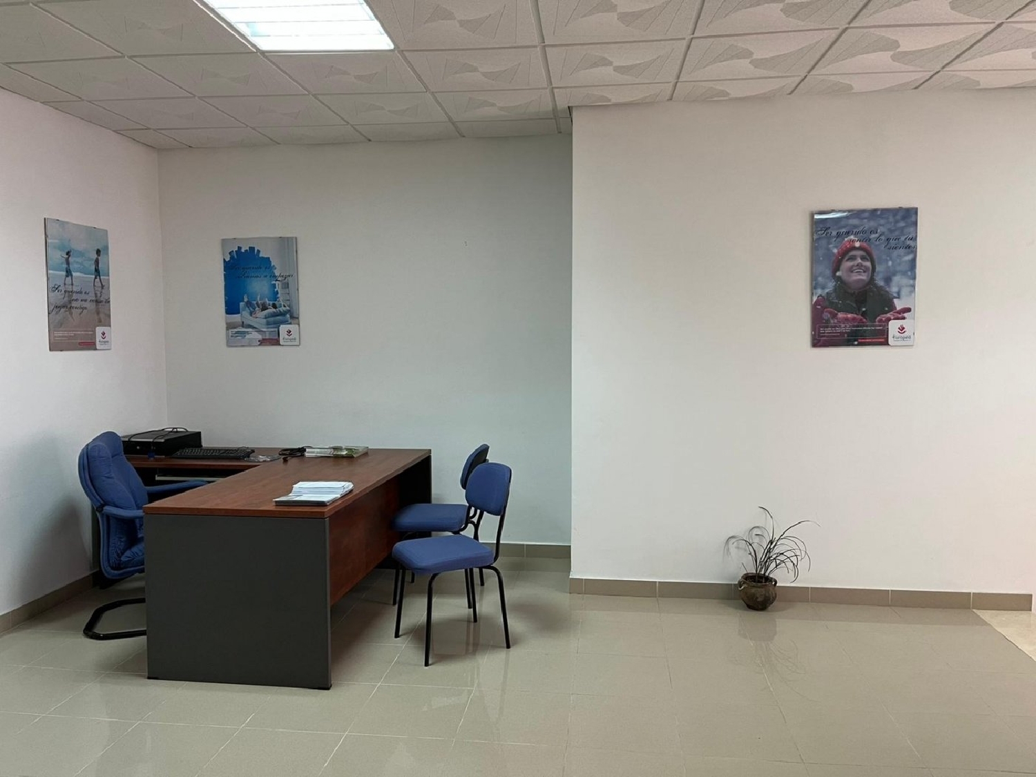  till salu kontor Las Porquerizas Janda (La) 7