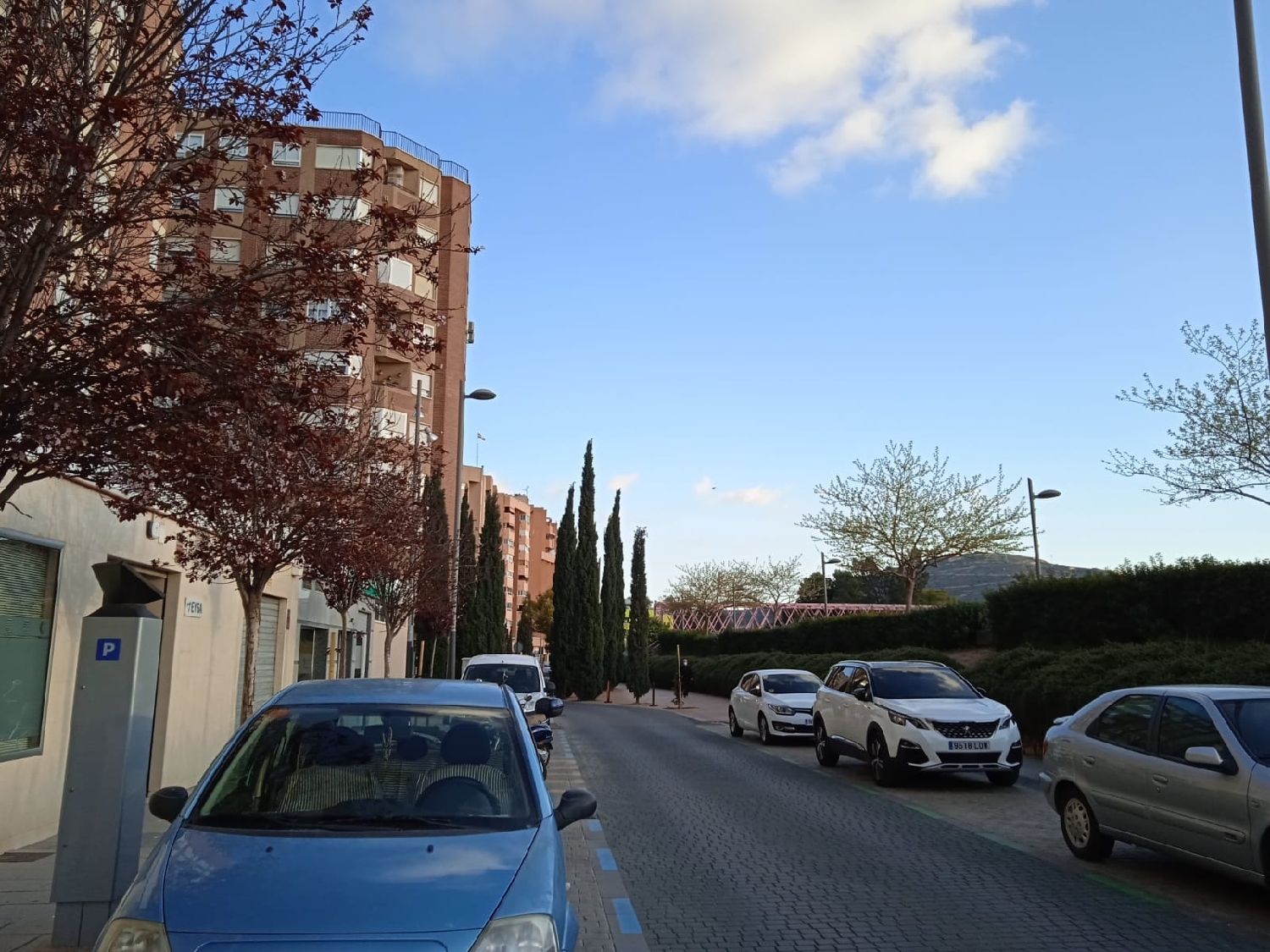 till salu parkering Cartagena Campo De Cartagena 3