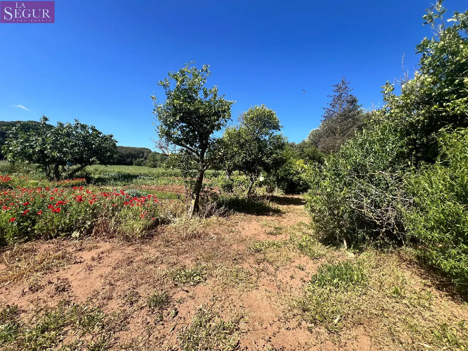 till salu parkering Vejer De La Frontera Janda (La) 2