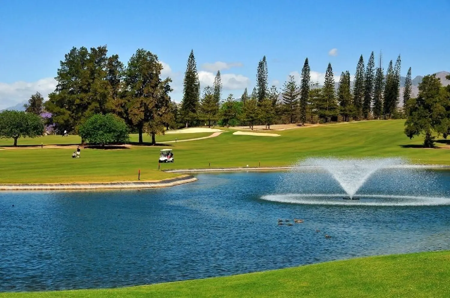  till salu takvåning Calanova Golf Costa Del Sol Occidental 9