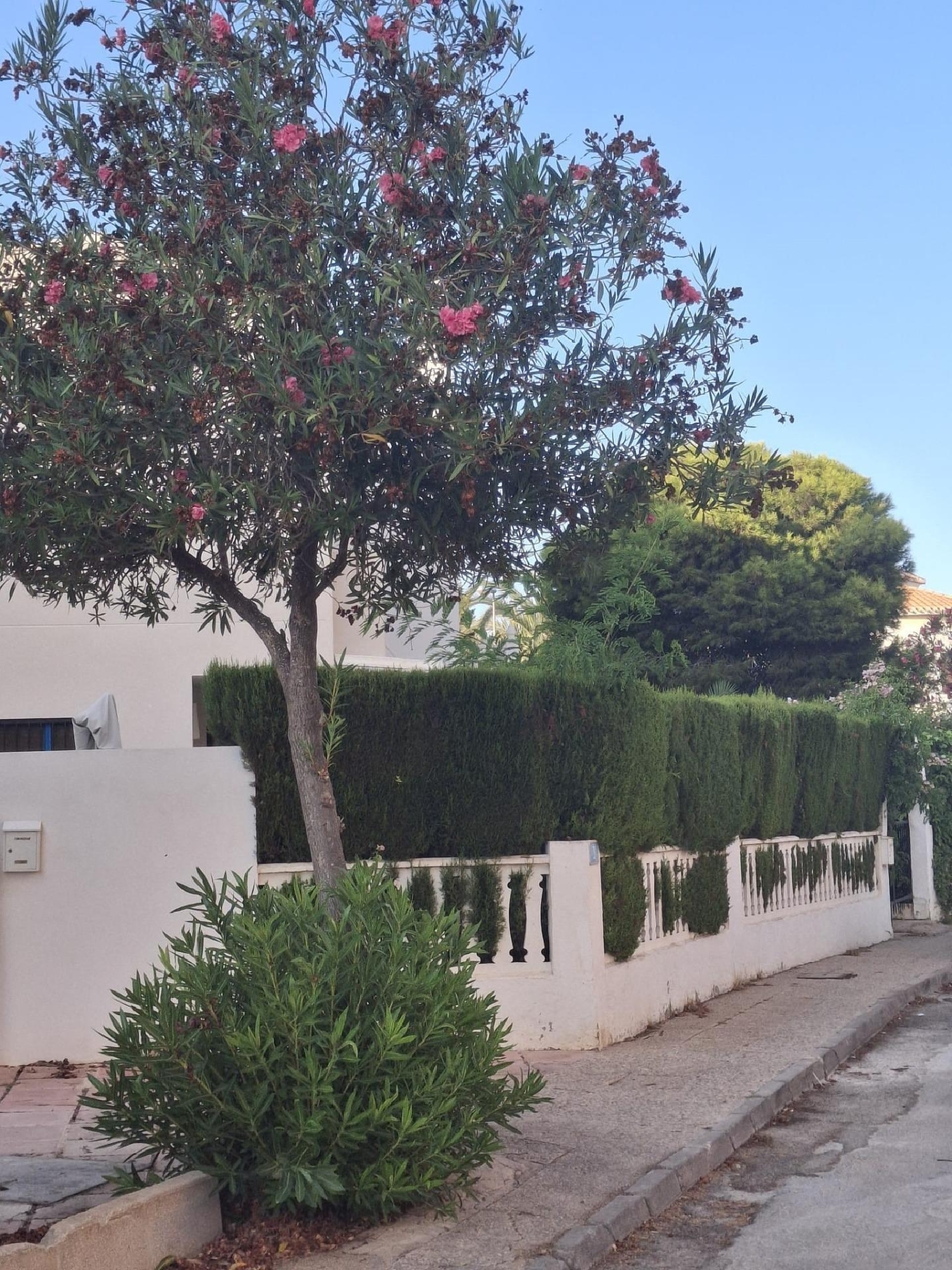  till salu takvåning La Zenia Ii Baix Segura 7