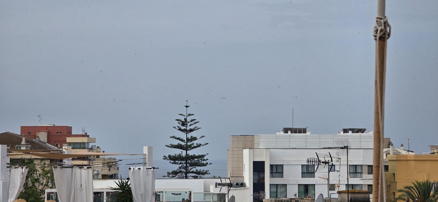 till salu takvåning Marbella Costa Del Sol Occidental 2