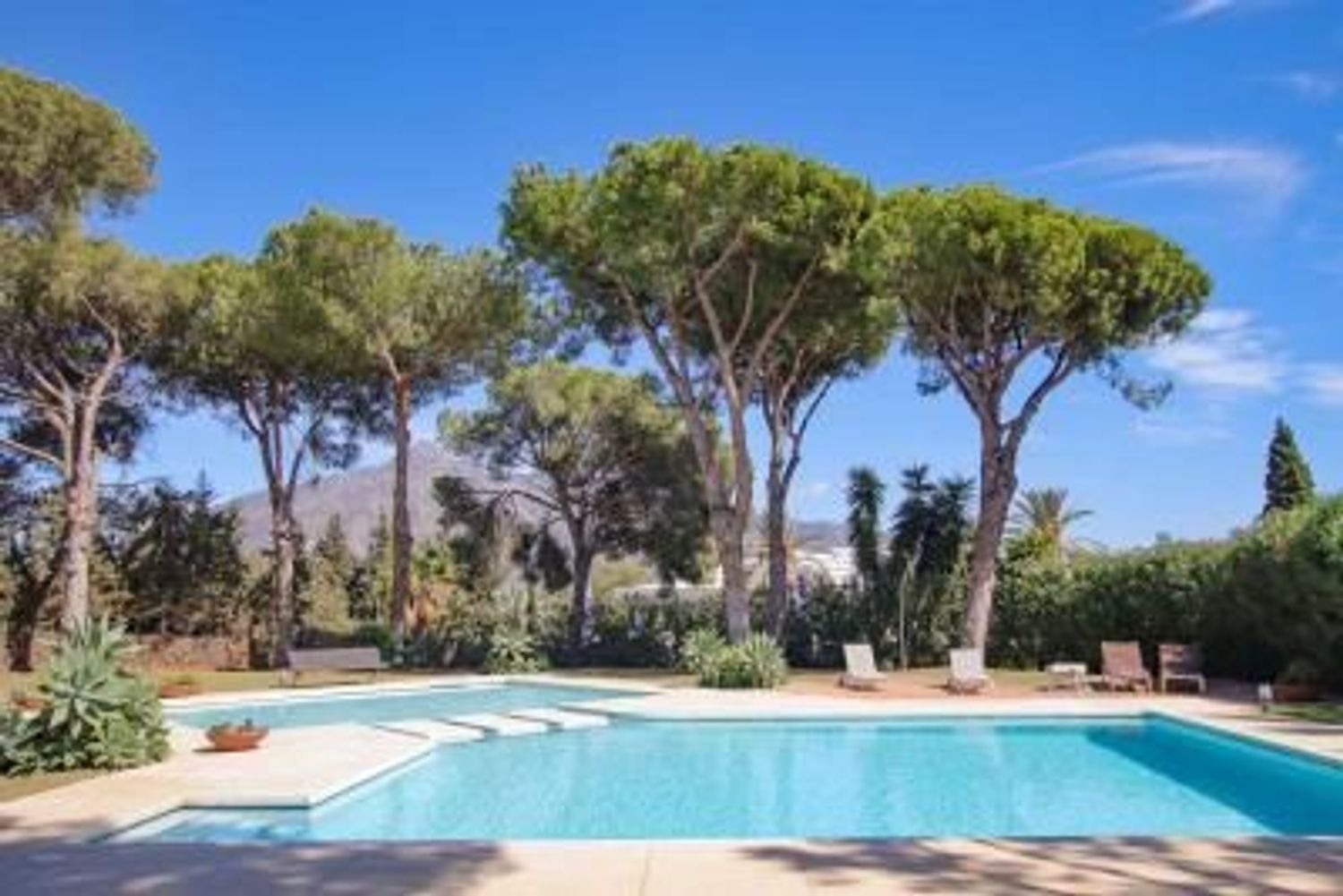 till salu takvåning Nueva Andalucía Costa Del Sol Occidental 3