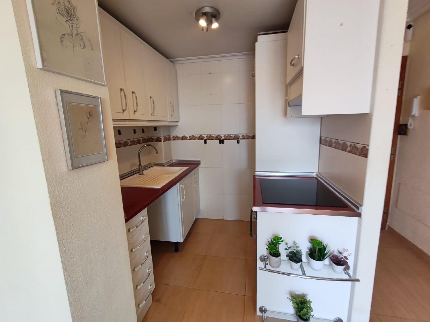  till salu takvåning Torrevieja Baix Segura 7