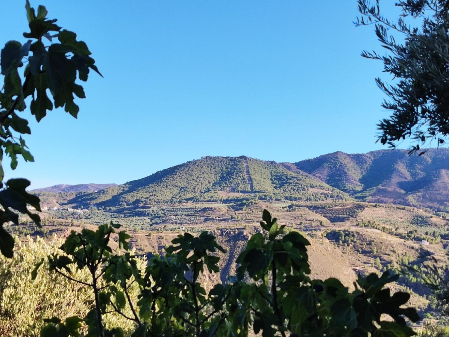  till salu tomt Acequias Valle De Lecrín 4