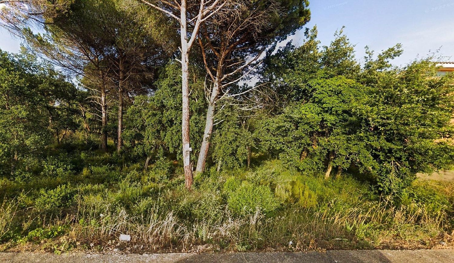 till salu tomt Aiguaviva Parc Selva 2