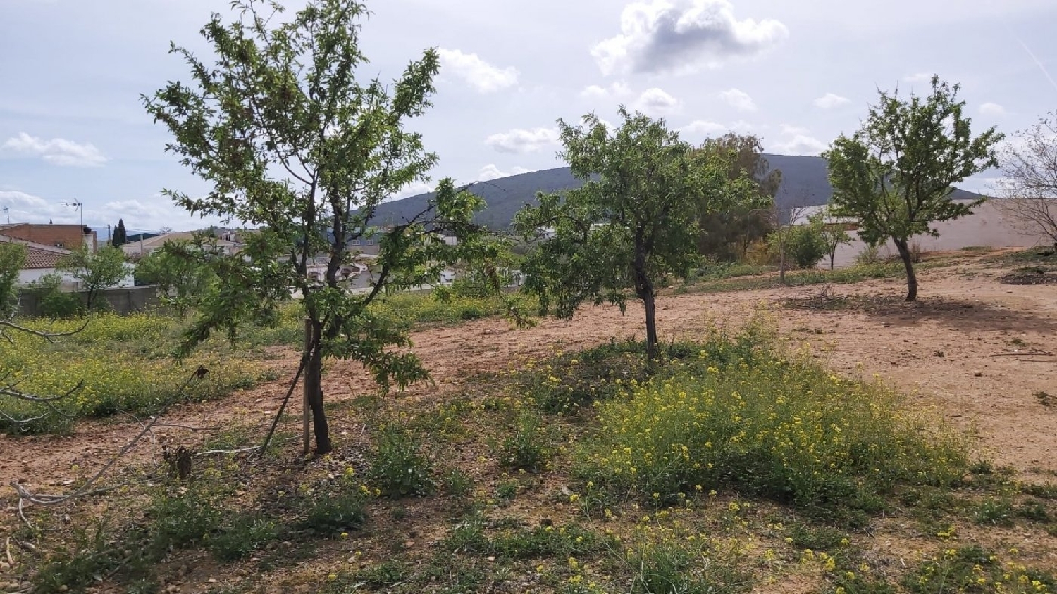  till salu tomt Alameda Antequera 8