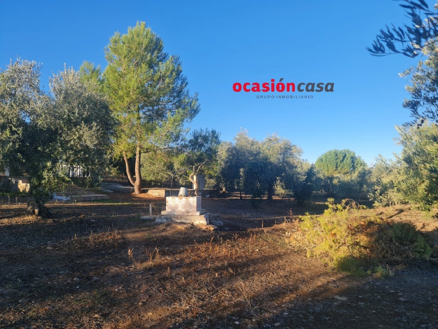  for sale plot Moroqui Córdoba 7