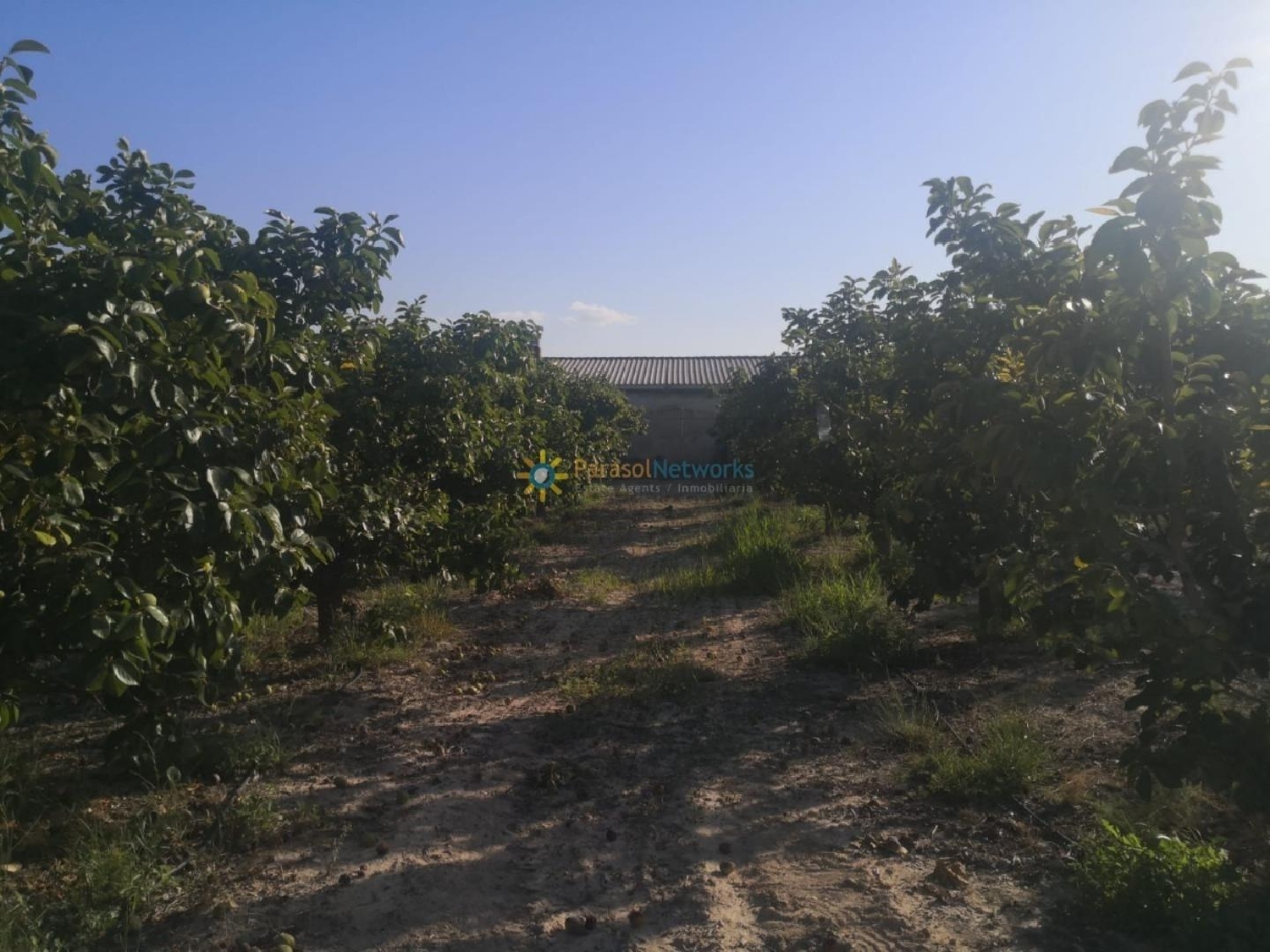  till salu tomt Albaida Vall D'albaida 1