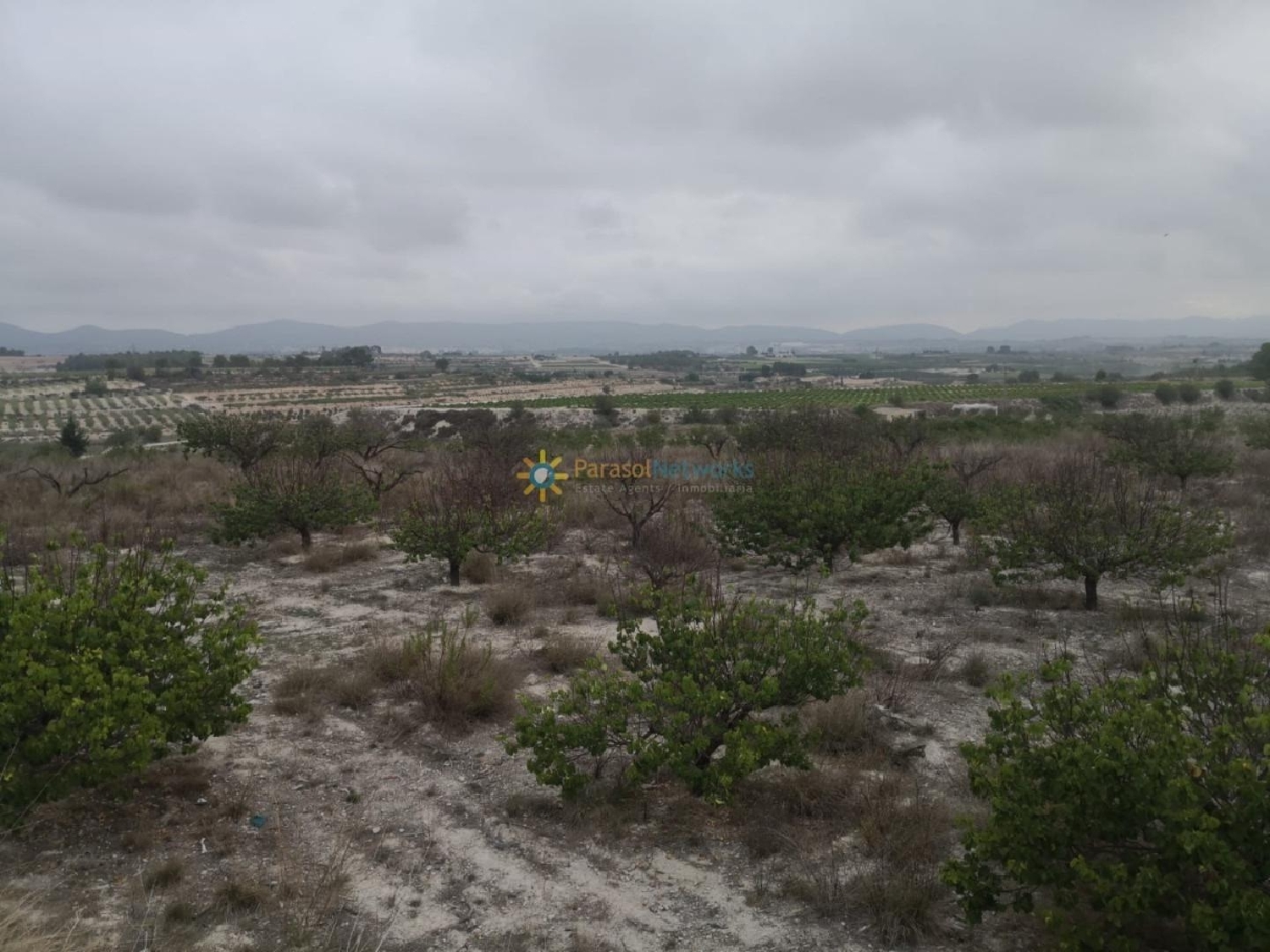  till salu tomt Albaida Vall D'albaida 1