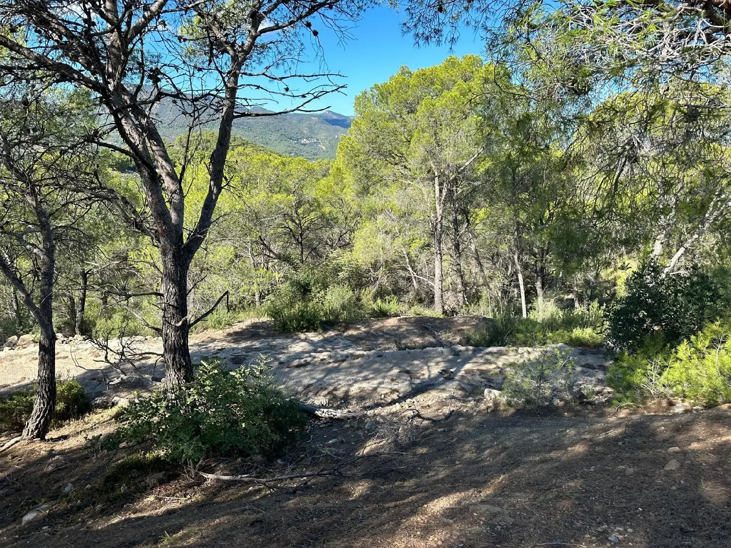 till salu tomt Albalat Dels Tarongers Camp De Morvedre 2