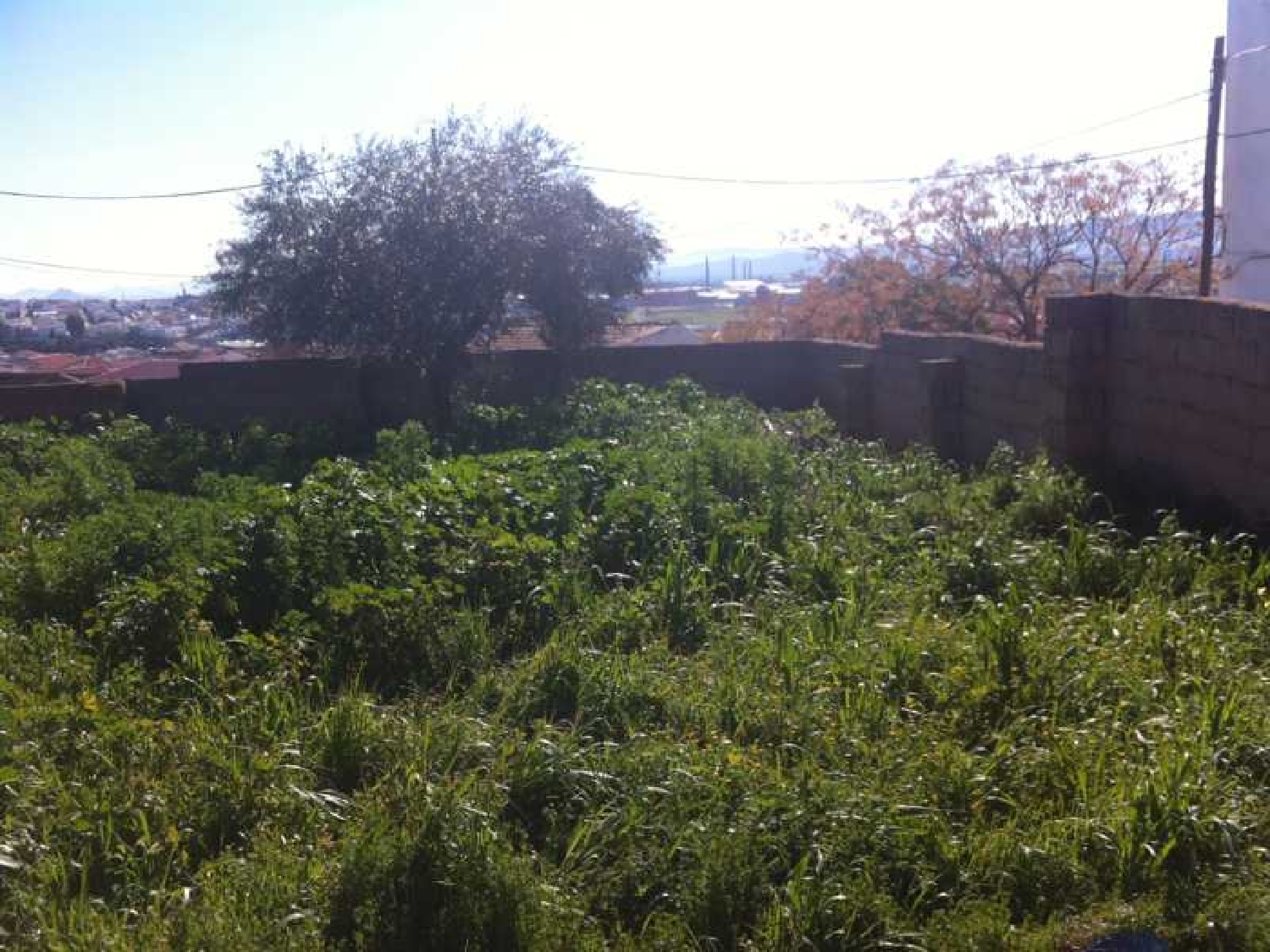  till salu tomt Albendin Campiña De Baena 2