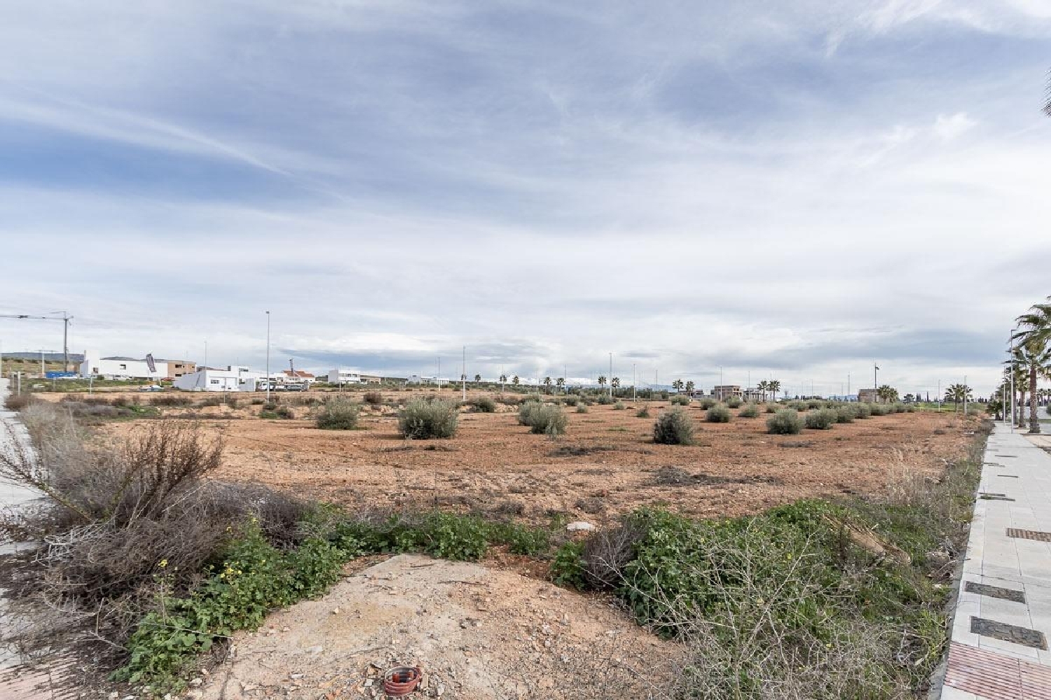  à vendre terrain El Chaparral Vega De Granada 4