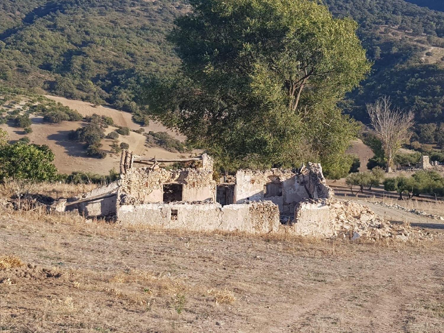  for sale plot Carteya-Guadarranque Campo De Gibraltar 4