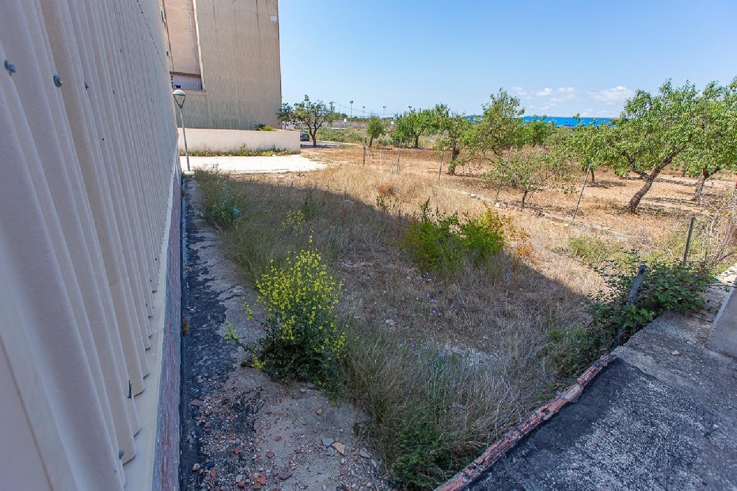  till salu tomt Alcanar-Platja Montsià 5