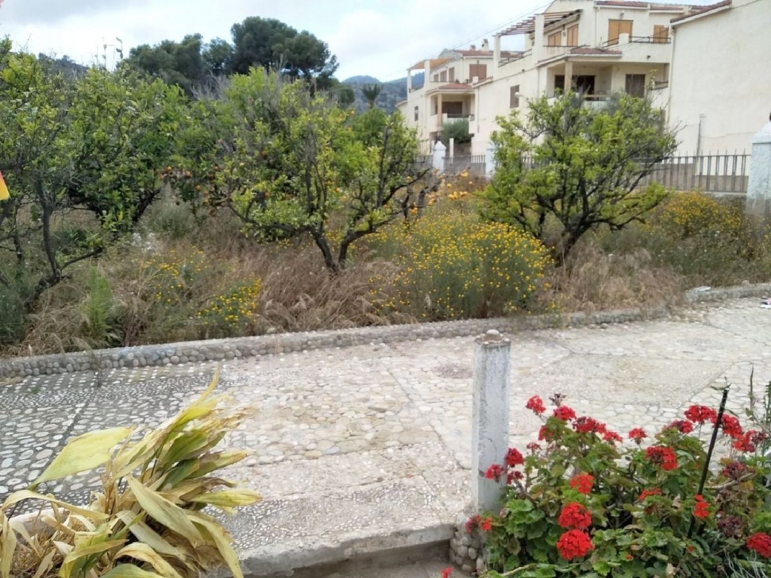 te koop perceel Alcanar Montsià 2