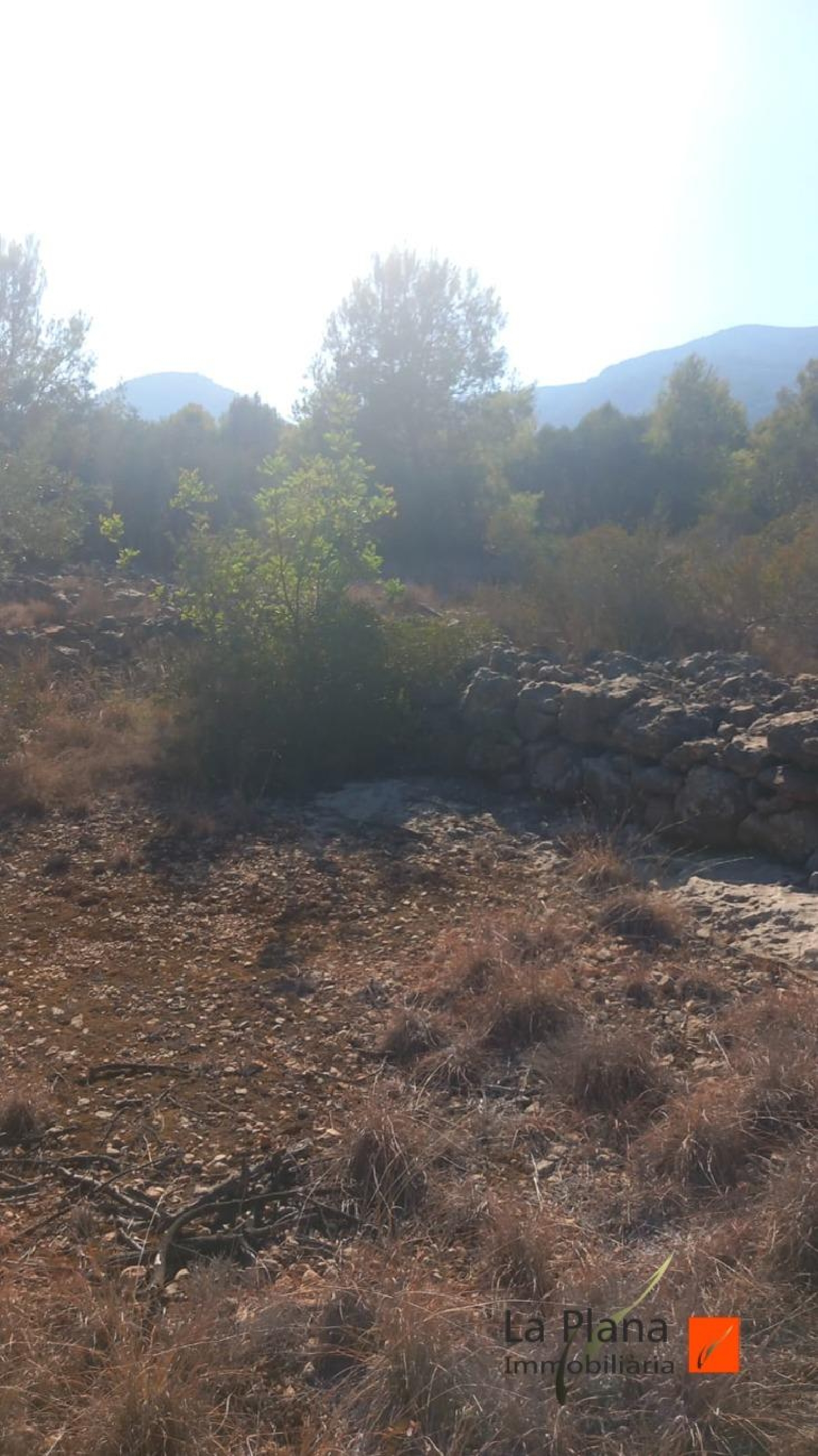  till salu tomt La Selleta Montsià 5