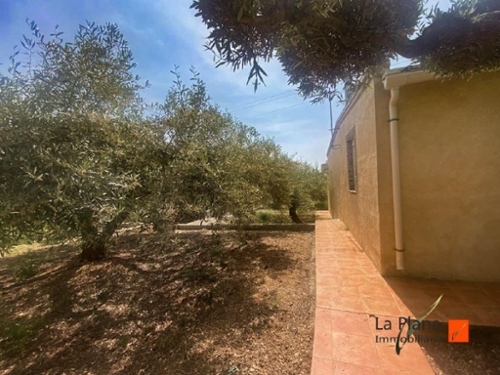 Alcanar-Platja Montsià tomt foto 6263605