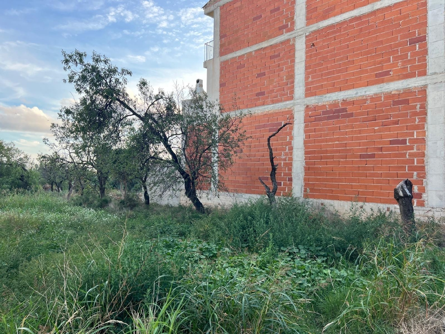 till salu tomt Alcanar-Platja Montsià 3