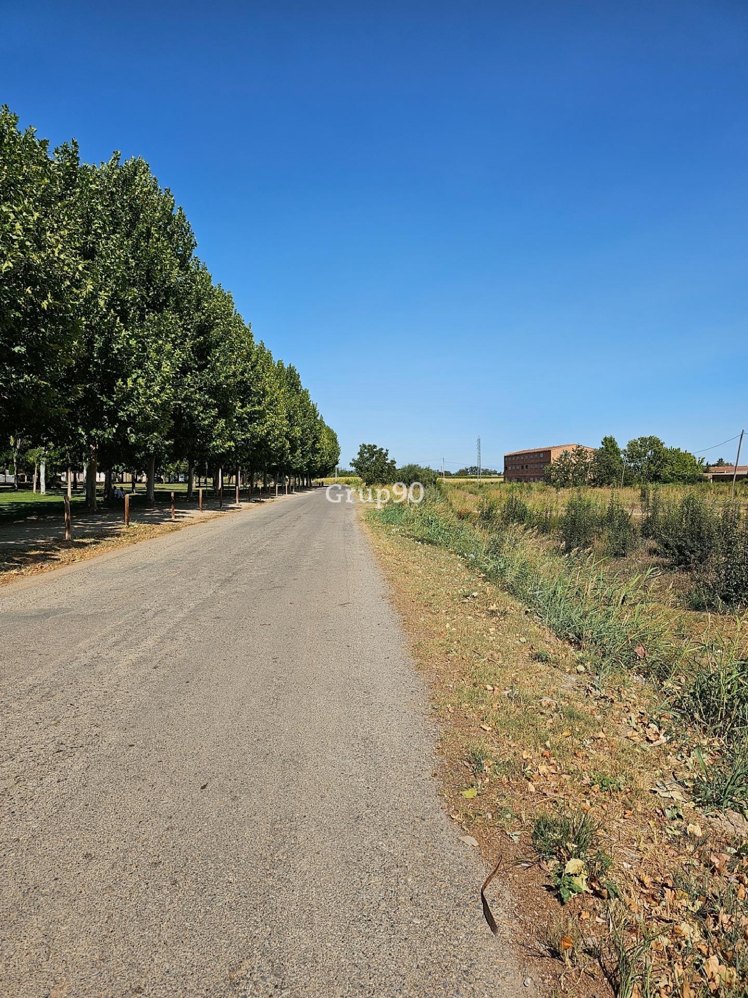  till salu tomt Alcarràs Segrià 4