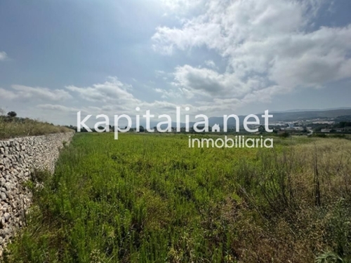 Alcàsser Horta Sud tomt foto 6224428
