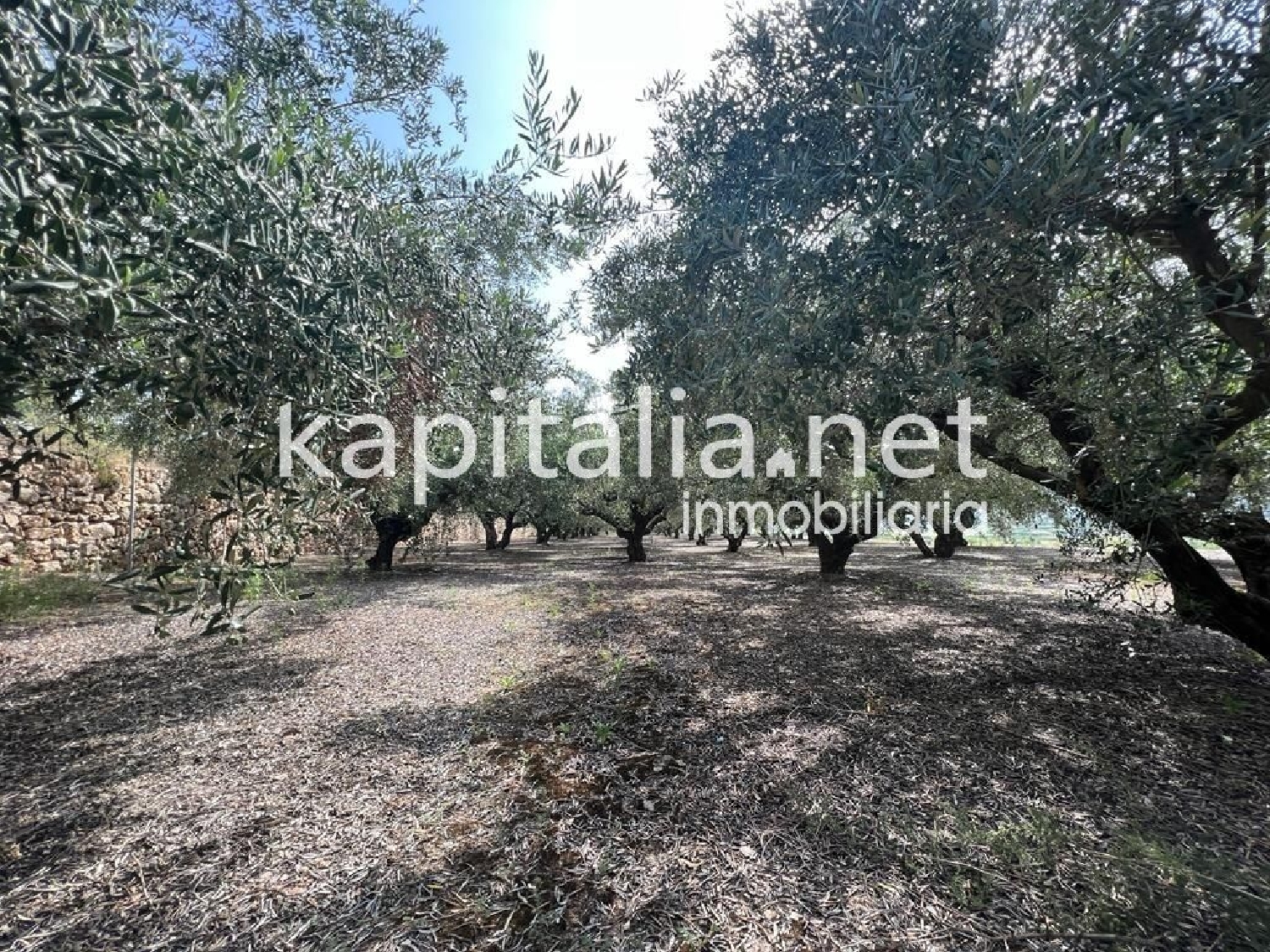  till salu tomt Alcàsser Horta Sud 5