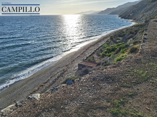 Alcaudique Poniente Almeriense tomt foto 6262061