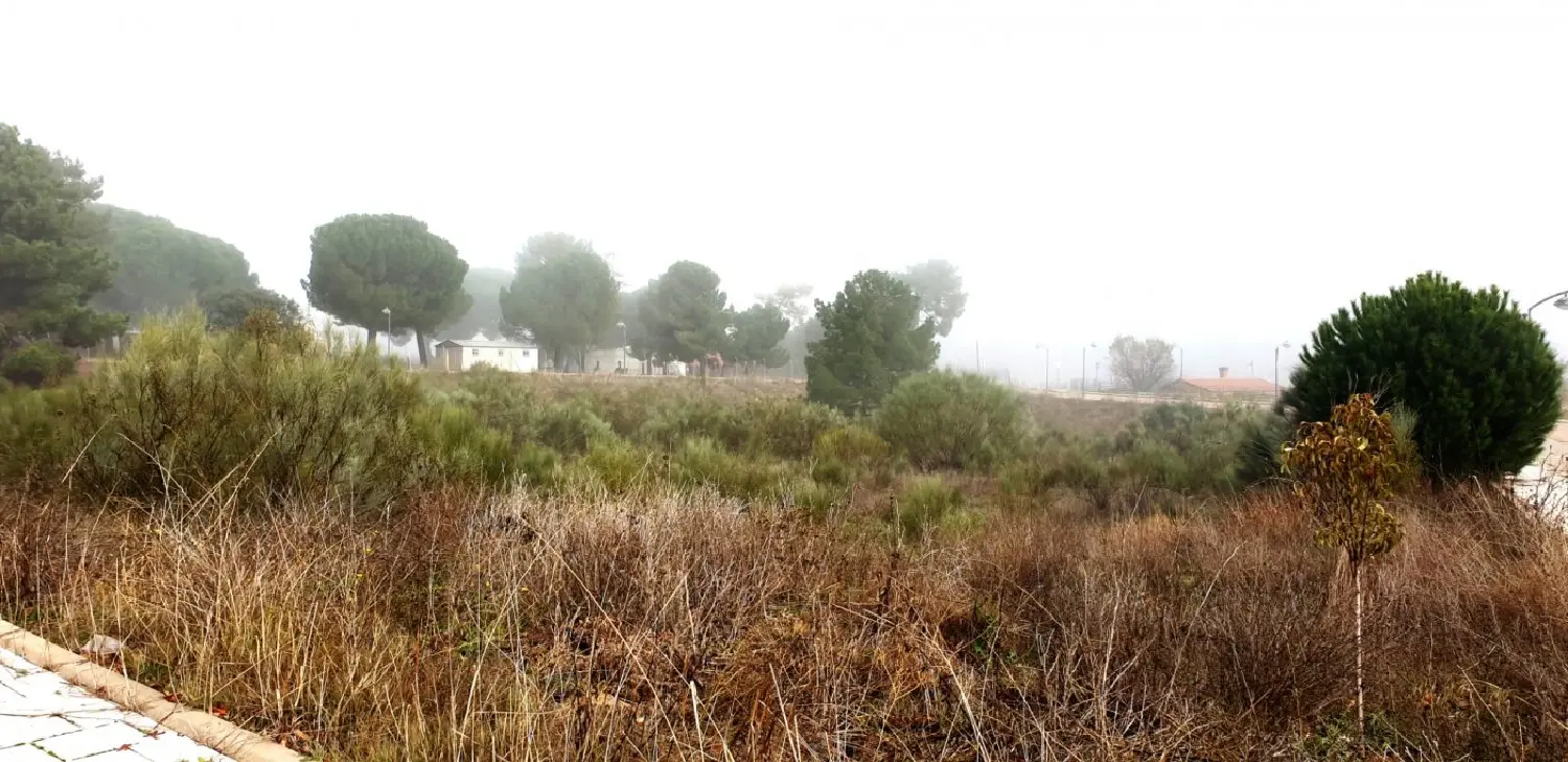  till salu tomt El Soto Tierra De Pinares 1