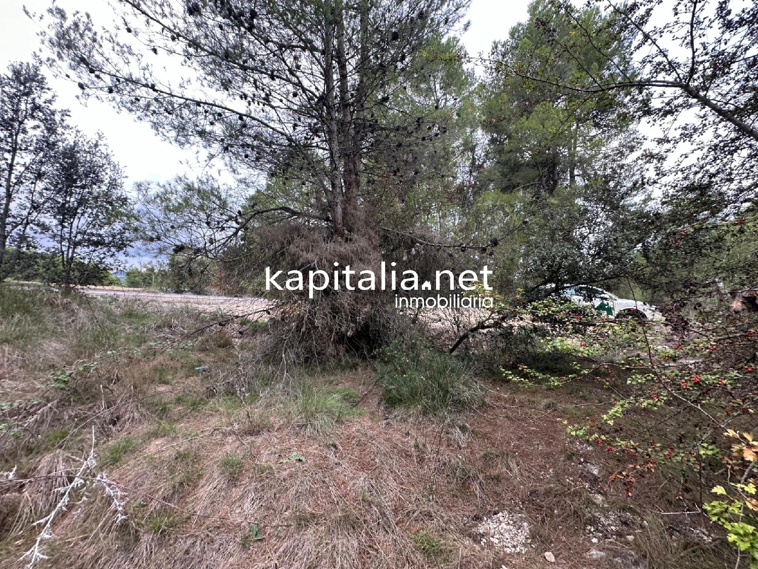 en venta terreno Alfafara Comtat 2