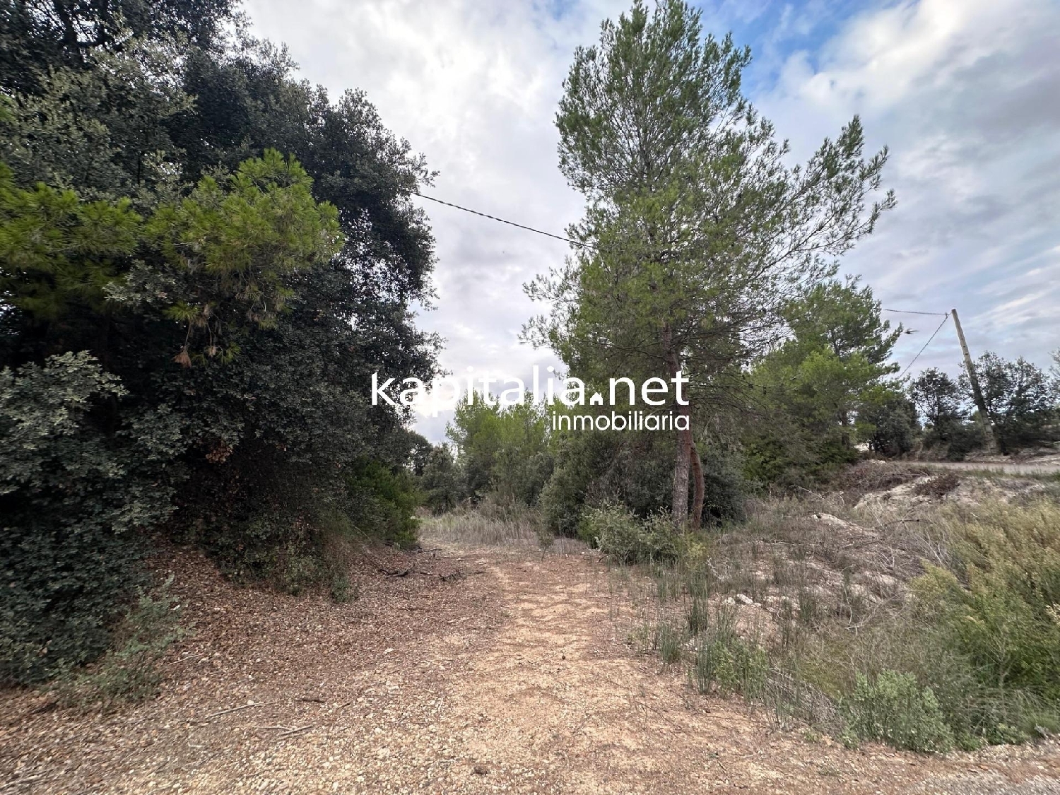  en venta terreno Alfafara Comtat 1