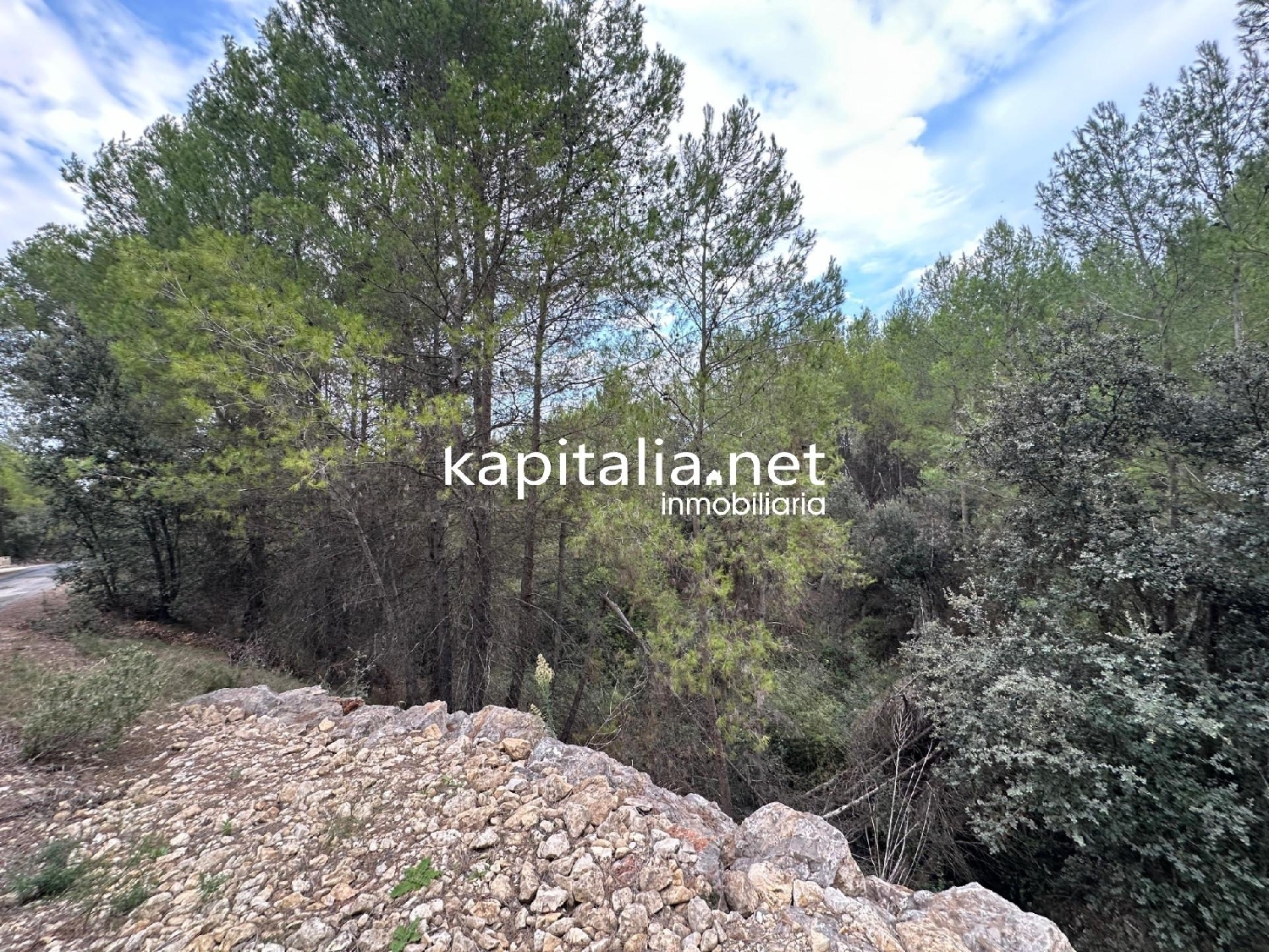  en venta terreno Alfafara Comtat 5