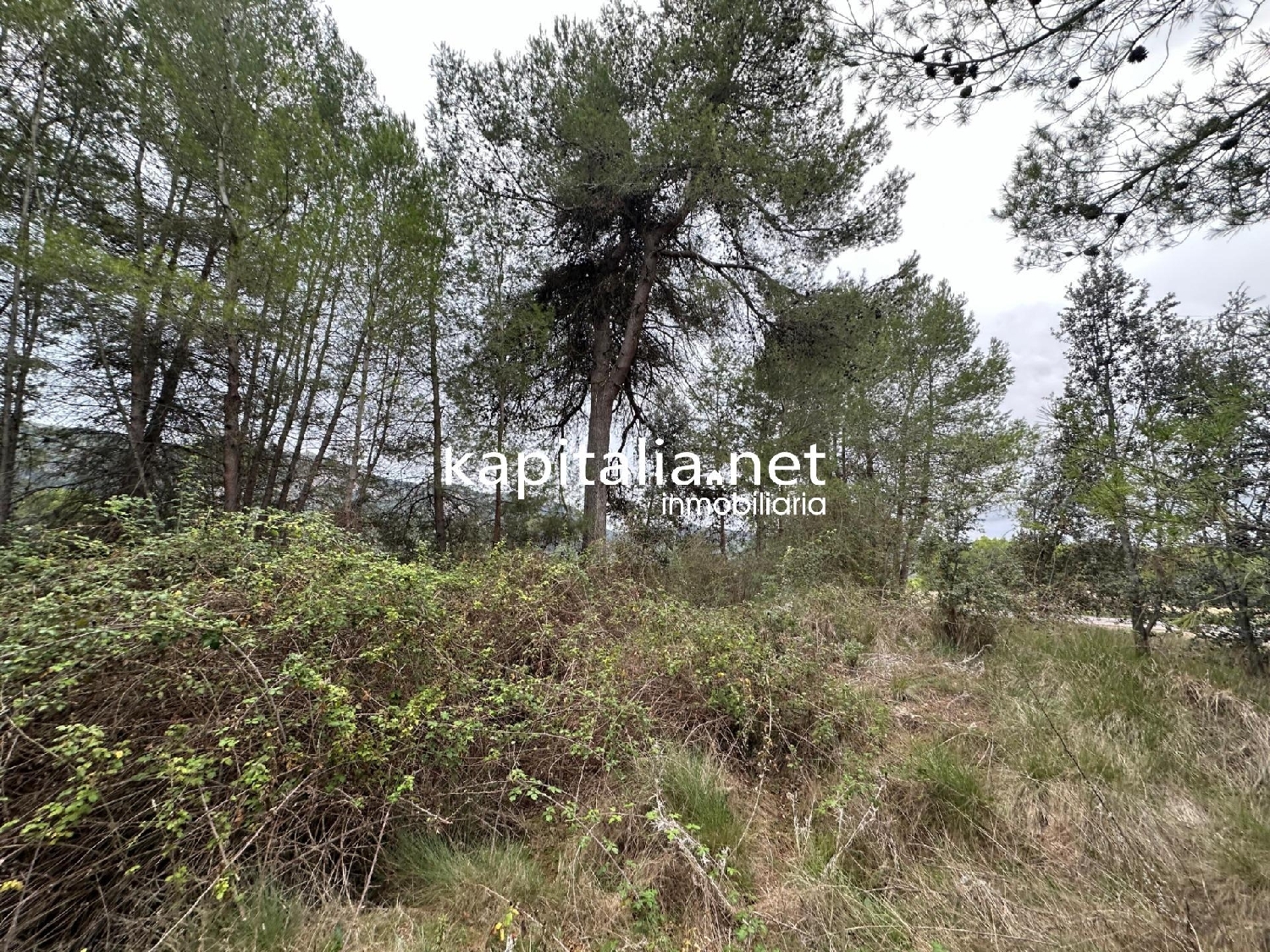 en venta terreno Alfafara Comtat 3