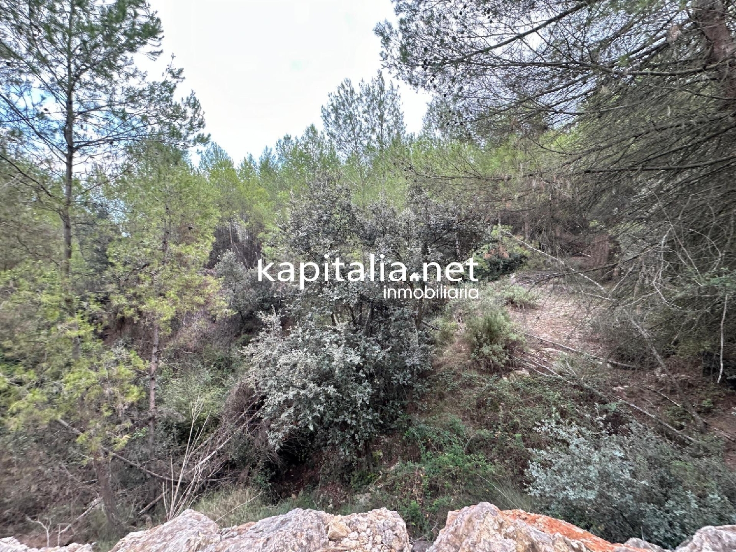 en venta terreno Alfafara Comtat 4